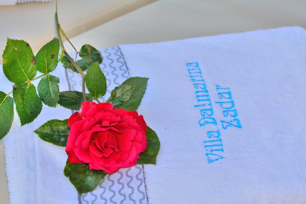 Villa Dalmatina Zadar Mit Pool Exteriör bild